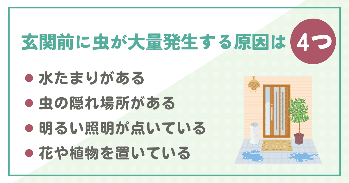 玄関前に虫が大量発生する原因は4つ