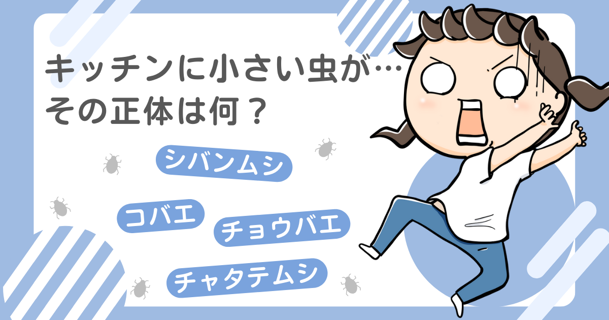 キッチンに小さい虫その正体は何？