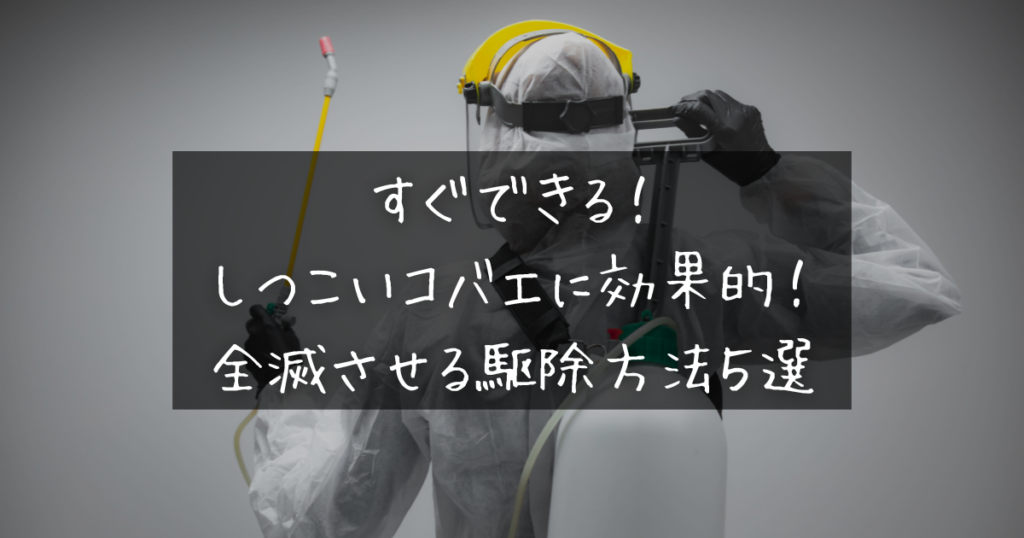 コバエ対策！大量発生でも簡単に全滅させる駆除方法や最強の予防法を徹底解説！