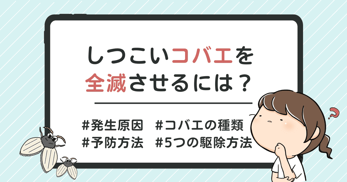 しつこいコバエ（チョウバエ）を全滅させるには？最強の駆除方法や予防法を徹底解説