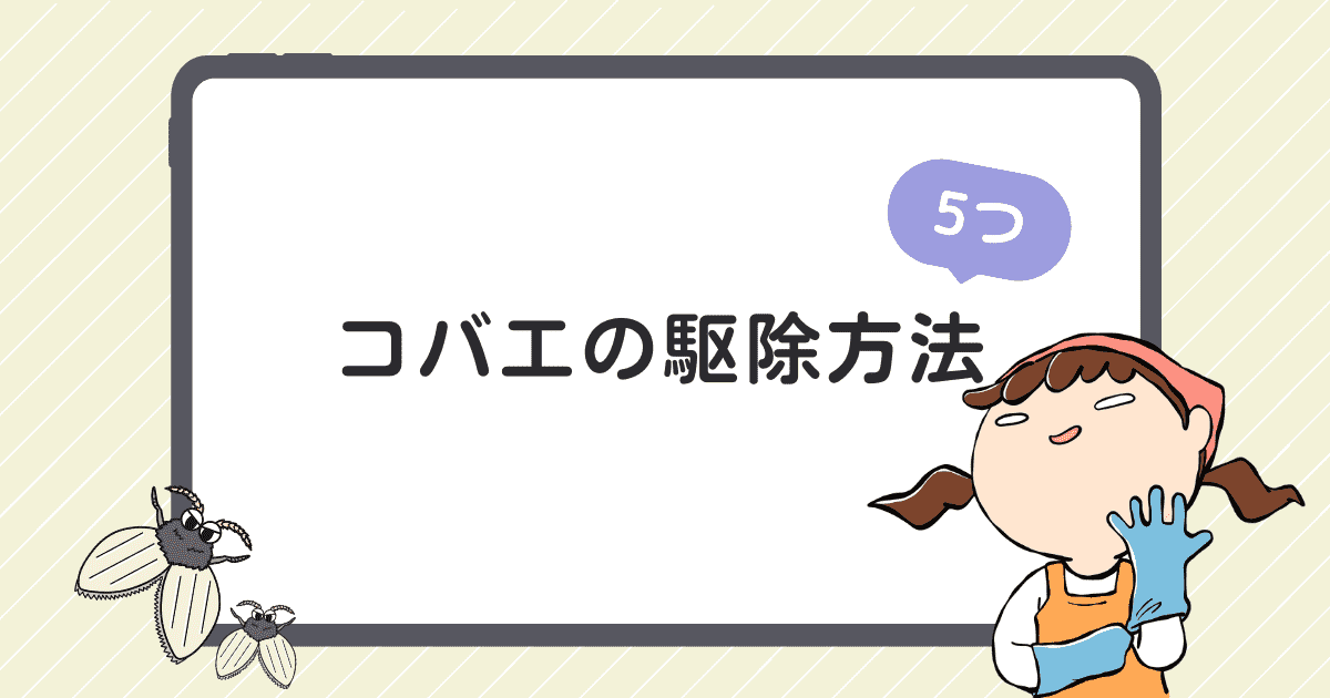 【全滅】しつこいコバエを駆除する５つの方法