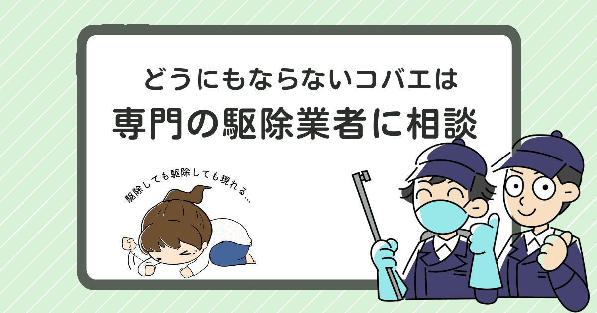 どうにもならないコバエは専門の駆除業者に相談