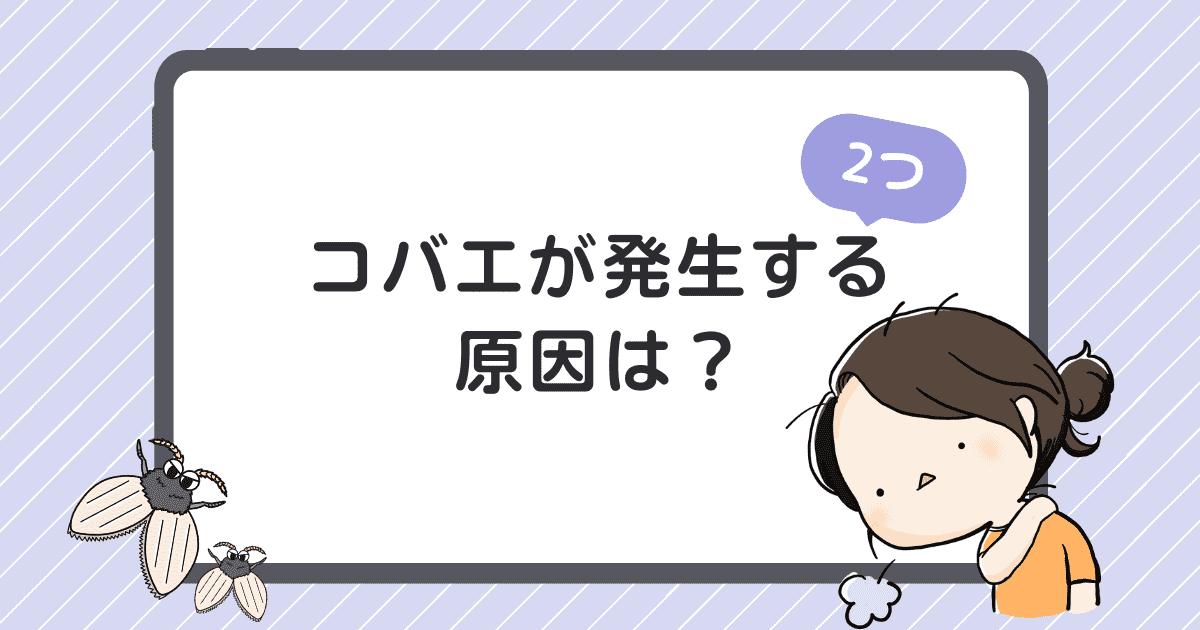 コバエが大量発生！原因は？