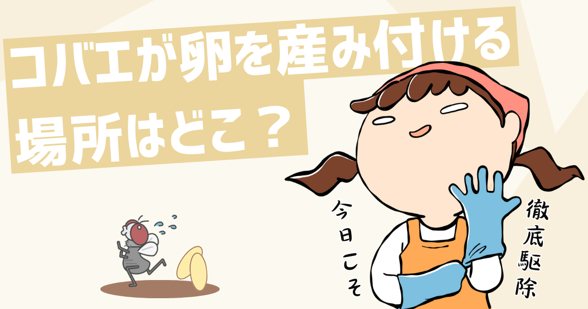 【解決】コバエはどこに卵を産み付ける？やってはいけない卵の駆除方法や予防法を徹底解説