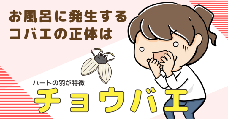 お風呂に発生するコバエの正体は「チョウバエ」発生原因や駆除方法をご紹介
