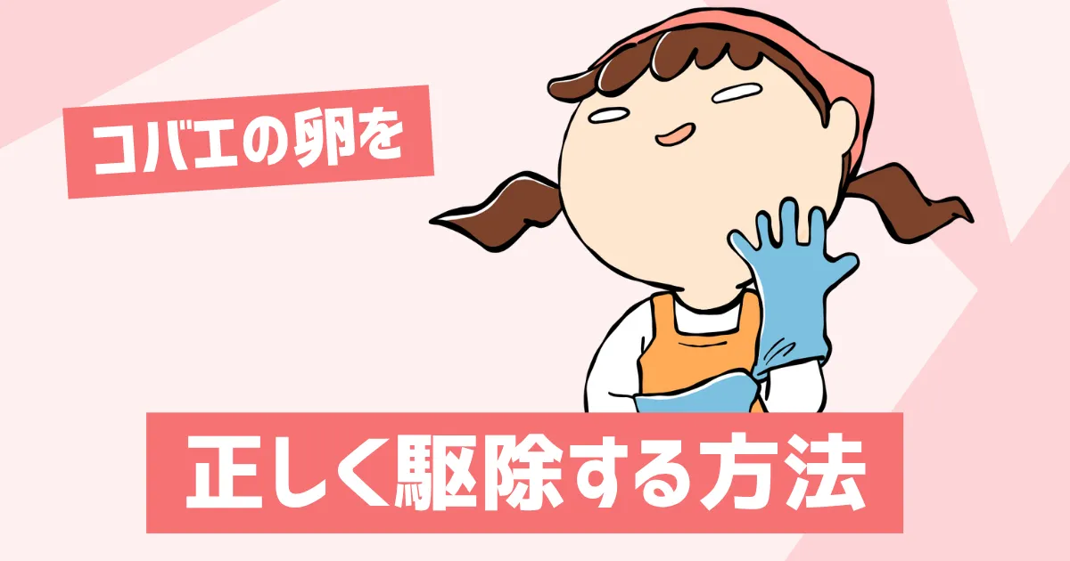 コバエの卵を正しく駆除する方法