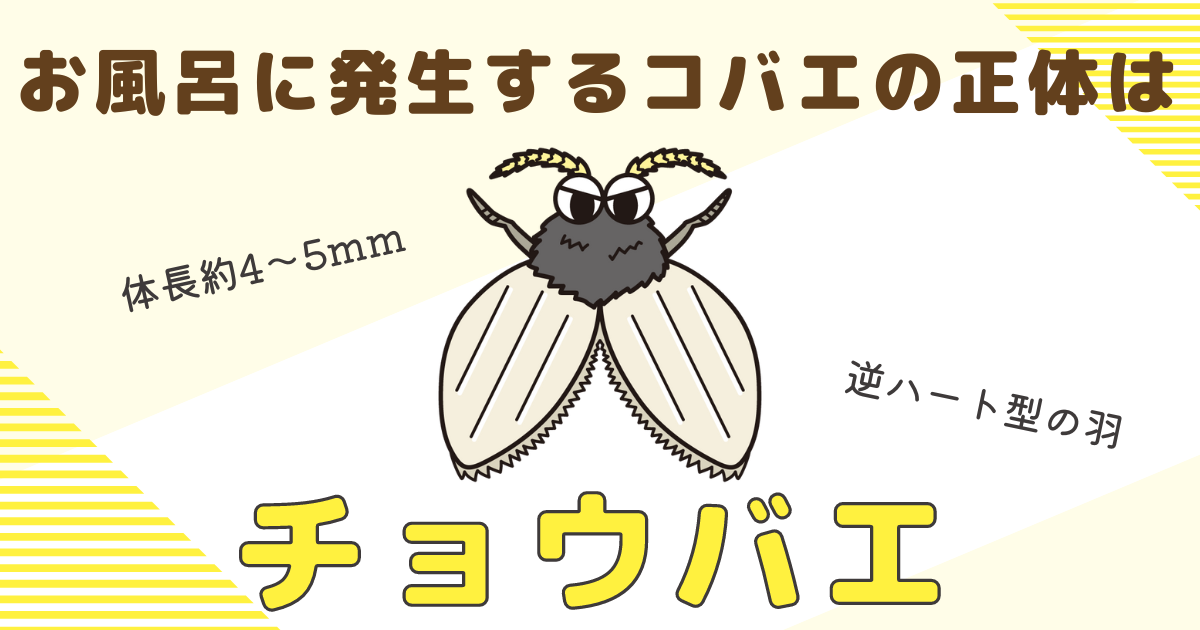 お風呂に発生するコバエの正体はチョウバエ