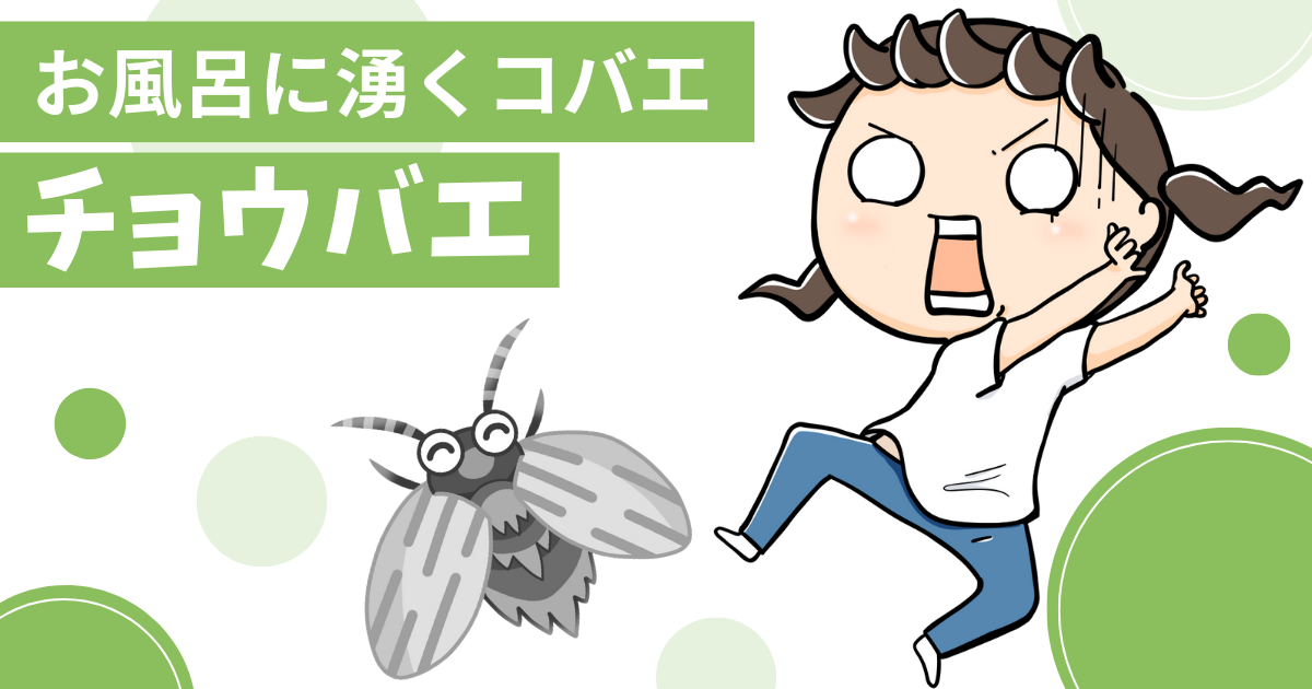 お風呂に湧くコバエ「チョウバエ」