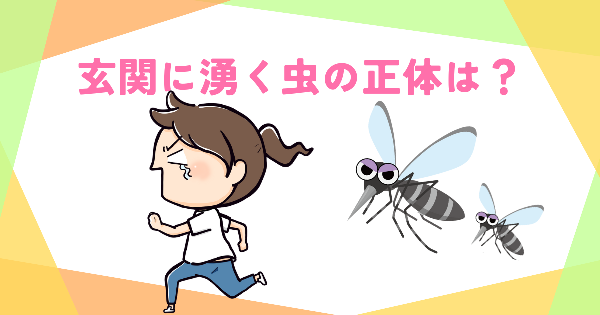 玄関に湧く虫の正体は？