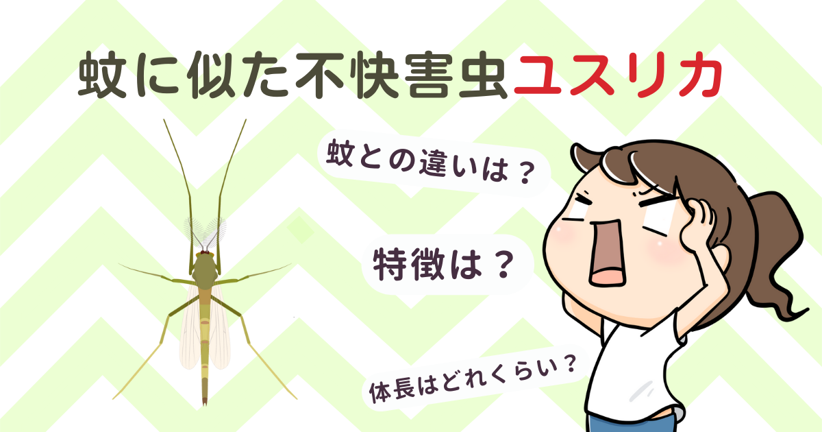 蚊に似た不快害虫「ユスリカ」