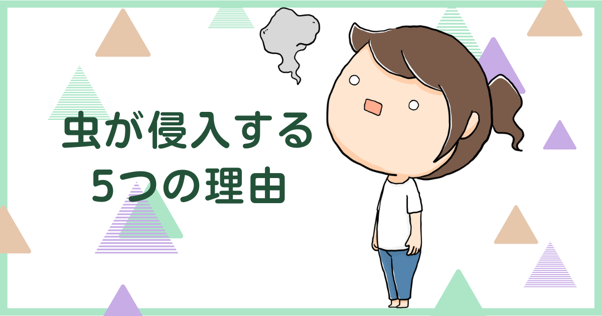 家の中に虫が侵入する5つの理由