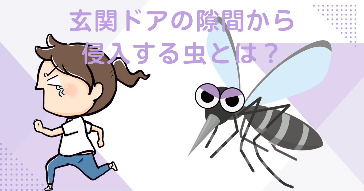 玄関ドアの隙間から侵入する虫とは？