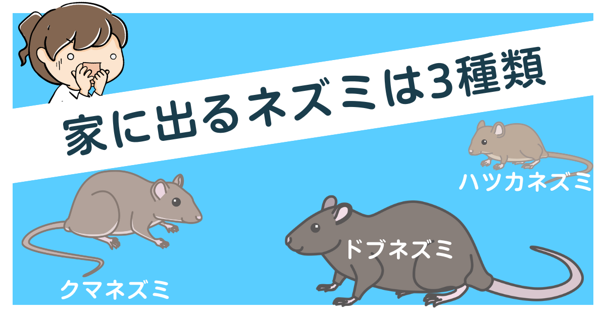 家に出るネズミは3種類