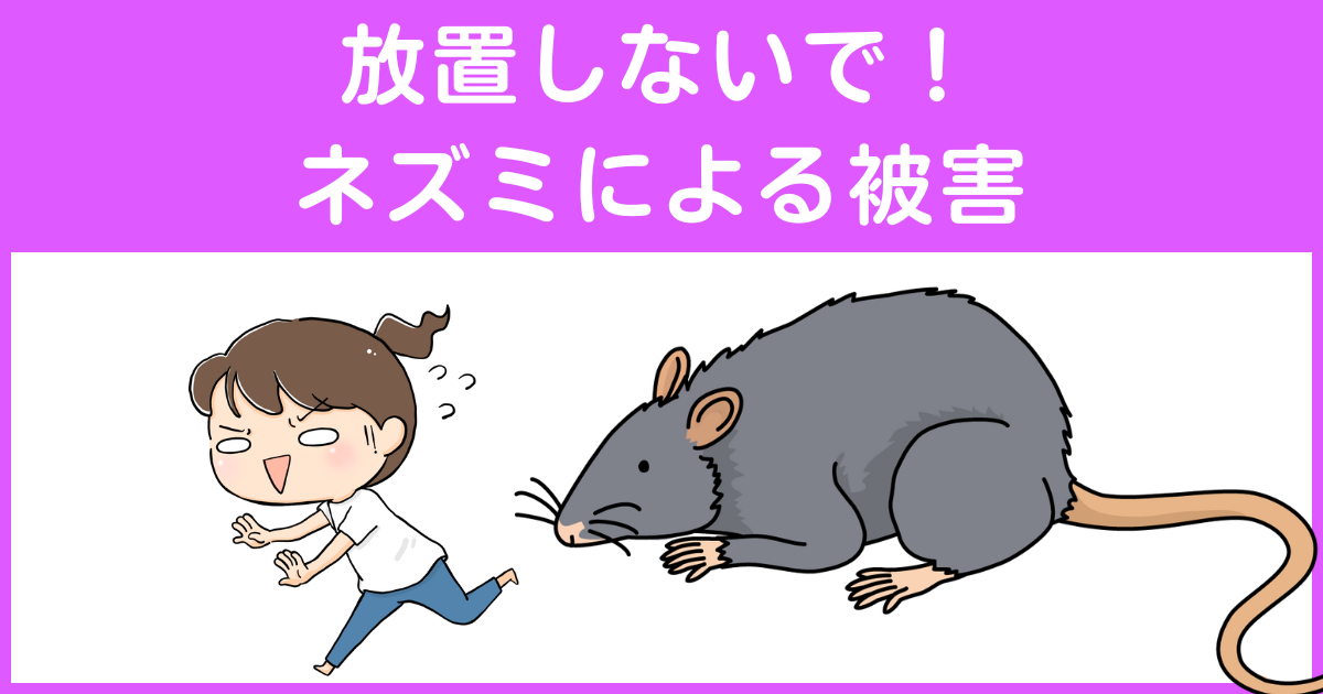 放置しないで！ネズミによる被害