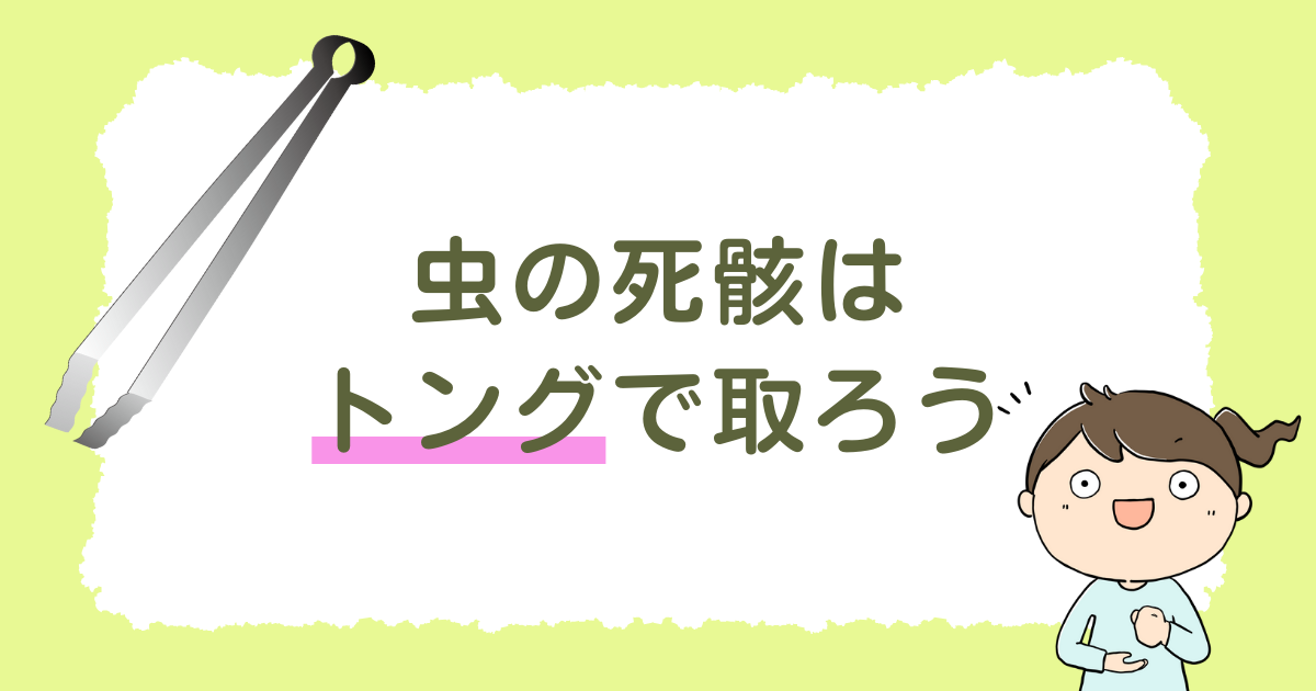 虫の死骸は「トング」で取ろう