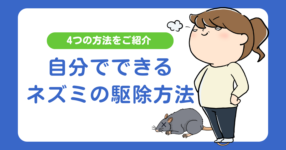 自分でできる！ネズミの駆除方法