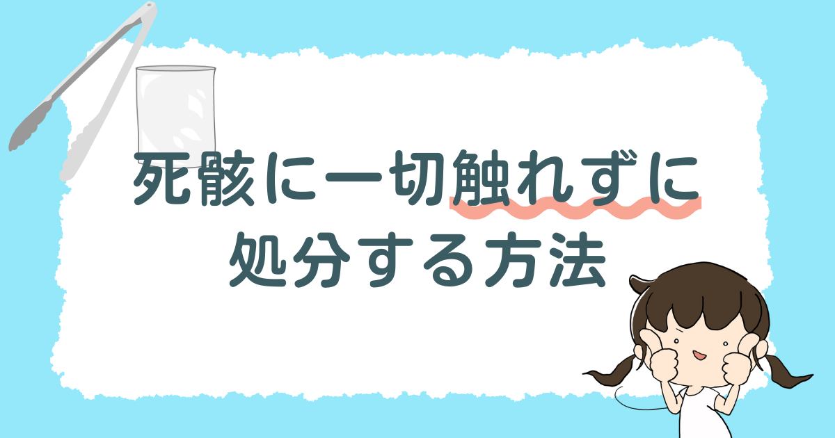 虫の死骸に一切触れずに処分するには？