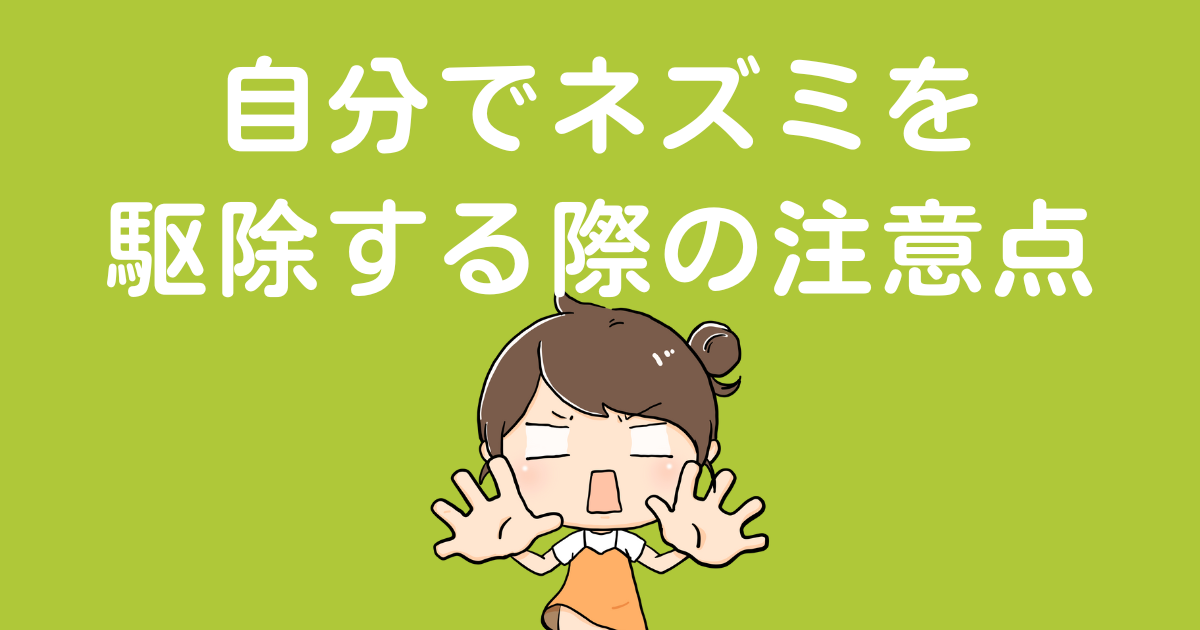 自分でネズミを駆除する際の注意点