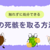 【緊急】虫の死骸を取る方法|虫が苦手な人でも触れずに簡単に処分できる