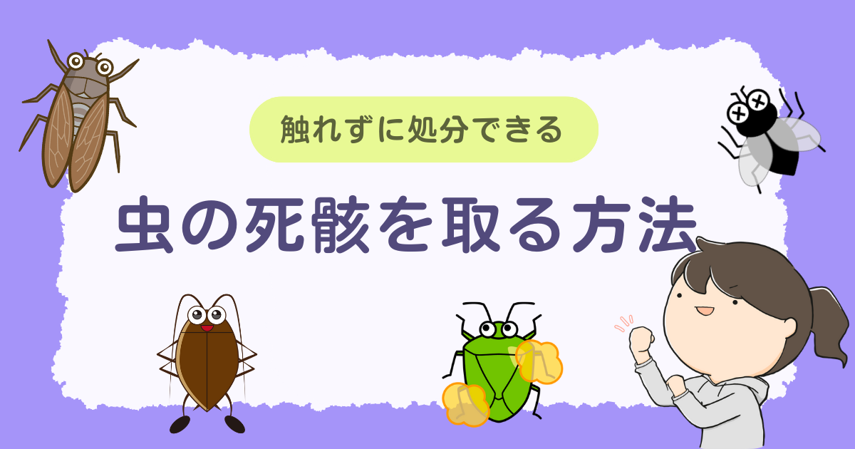 【緊急】虫の死骸を取る方法|虫が苦手な人でも触れずに簡単に処分できる