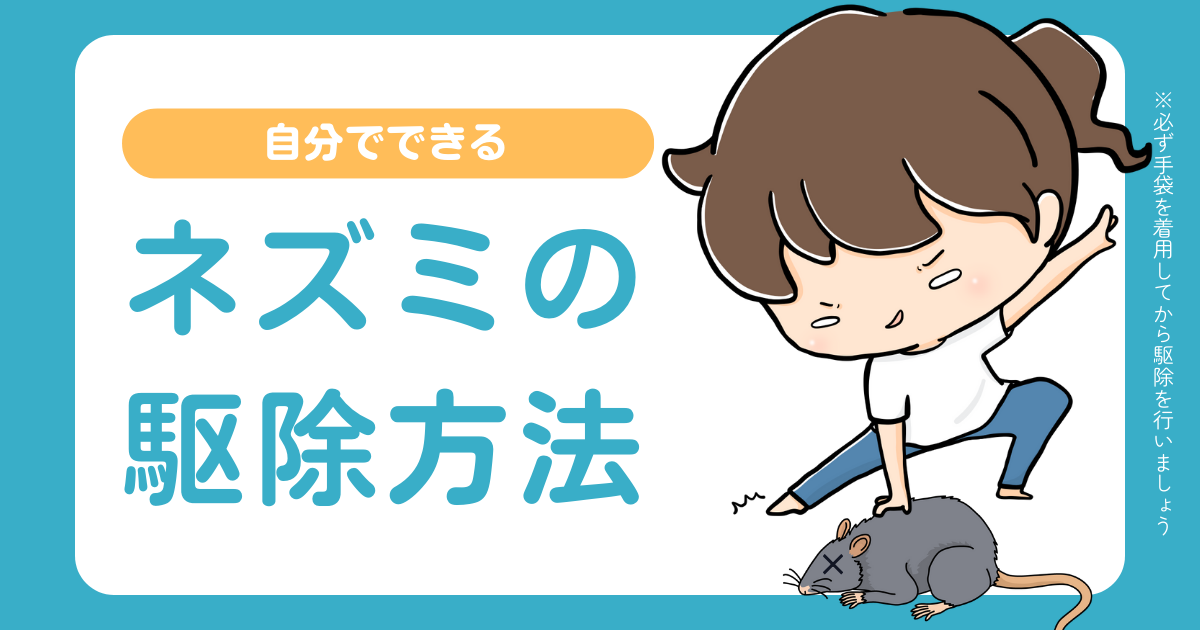 自分でできるネズミの駆除方法|おすすめの駆除グッズや注意点、予防法も徹底解説