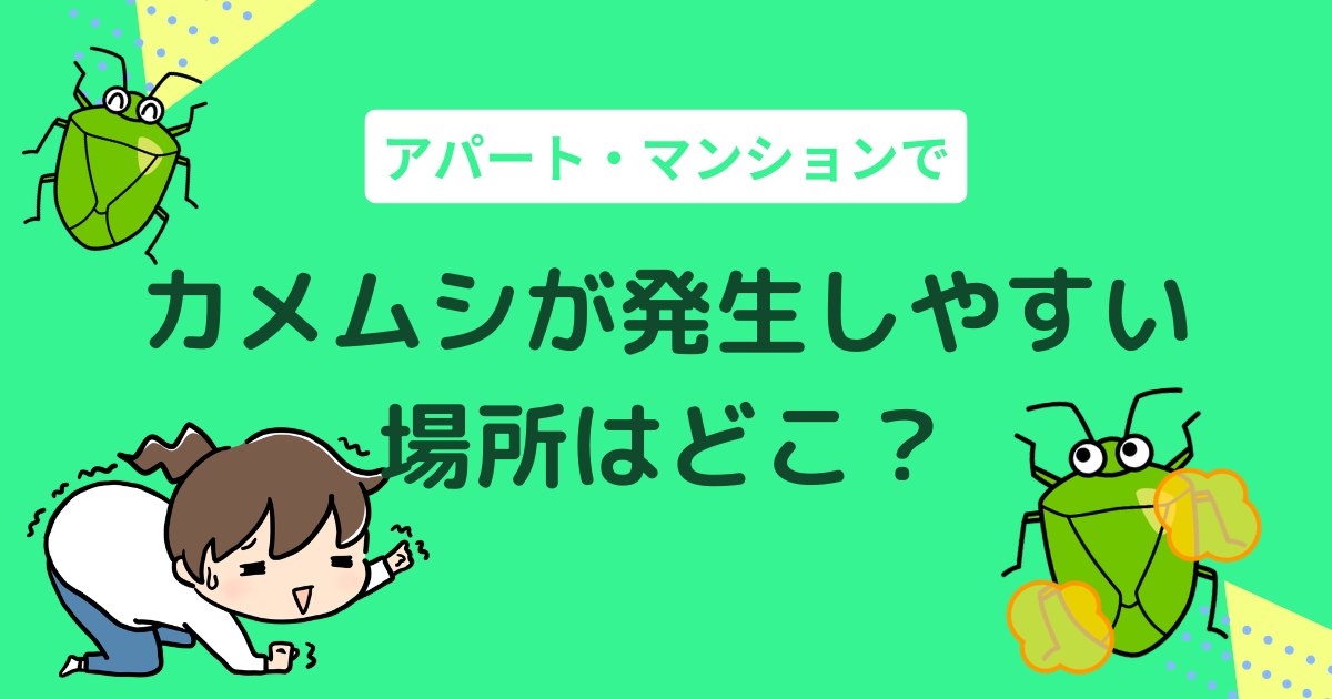 マンションでカメムシが発生しやすい場所はどこ？