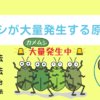 カメムシが大量発生する原因は？駆除方法やカメムシ臭を取る方法、予防法をご紹介