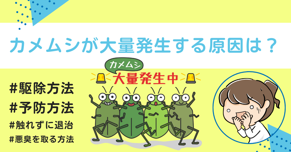 カメムシが大量発生する原因は？駆除方法やカメムシ臭を取る方法、予防法をご紹介