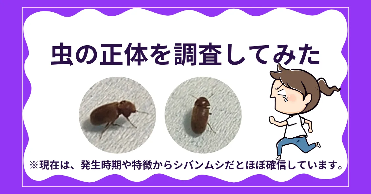 特徴をもとに虫の正体を調査してみた