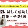 【実体験】洗濯物の小さい茶色い虫はシバンムシ！試して成功した対策・予防6選