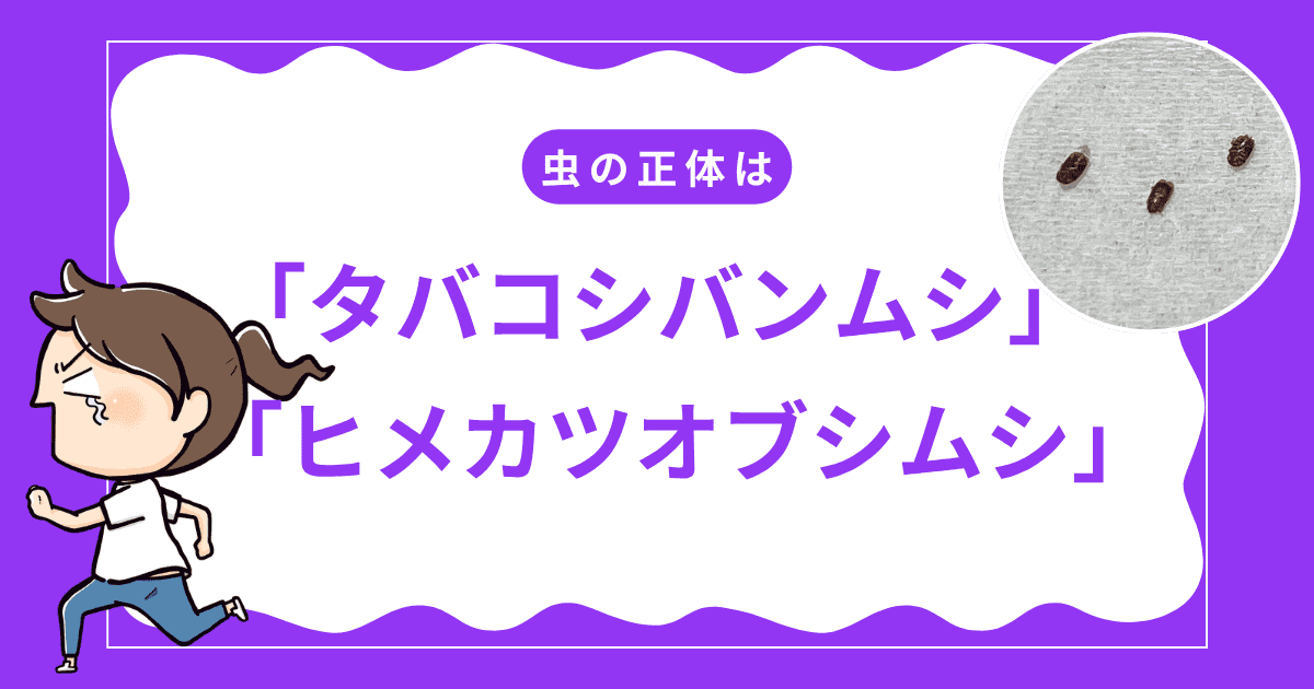 特徴をもとに虫の正体を調査してみた