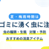 夏・梅雨時期は生ゴミに湧く虫に注意！侵入経路や効果的な対策・予防方法を解説