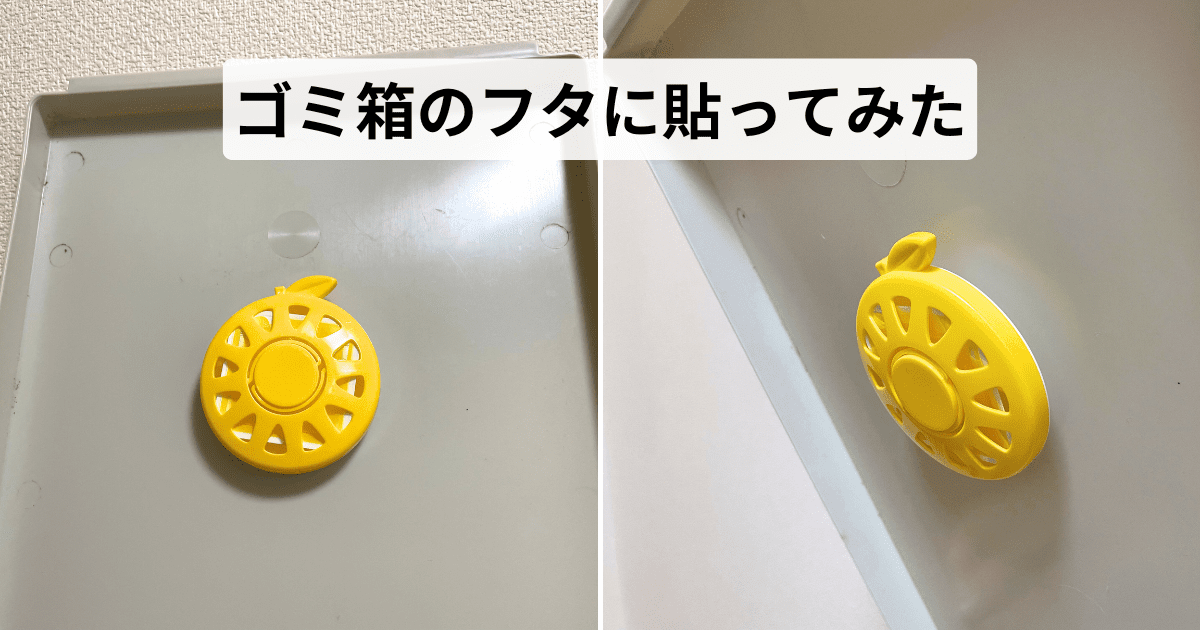 【基本情報】ゴミサワデー(生ゴミ用)