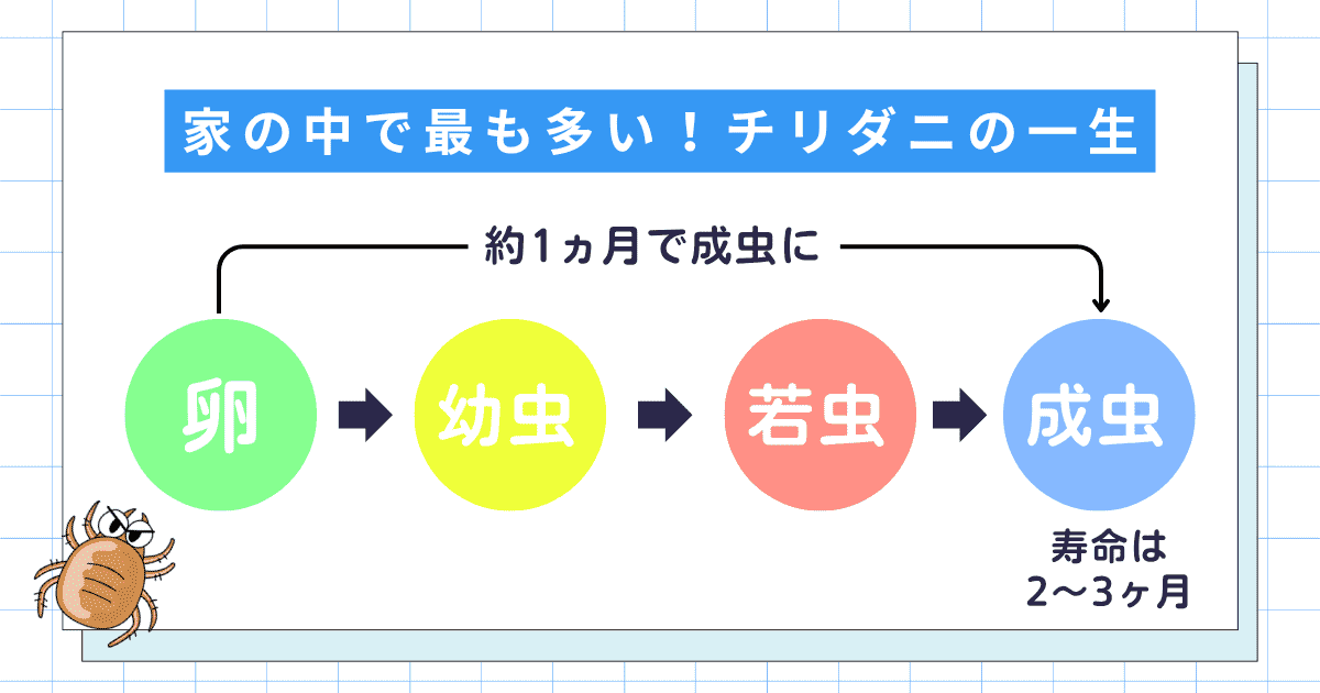梅雨〜夏はダニ発生のピーク