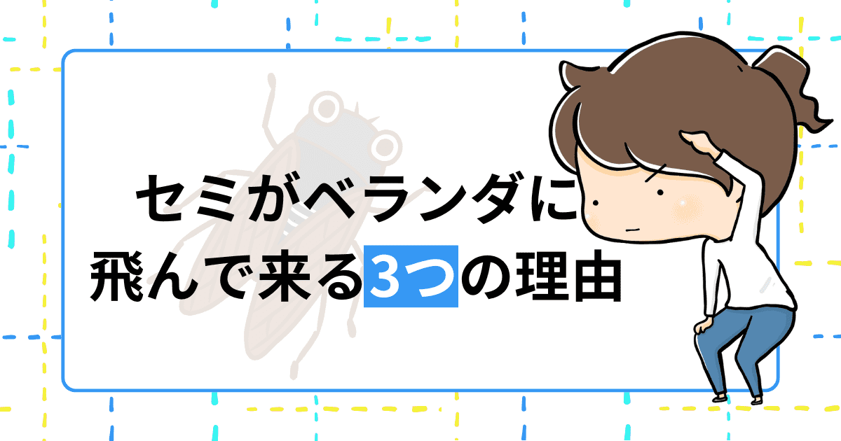 セミがベランダに飛んで来る理由