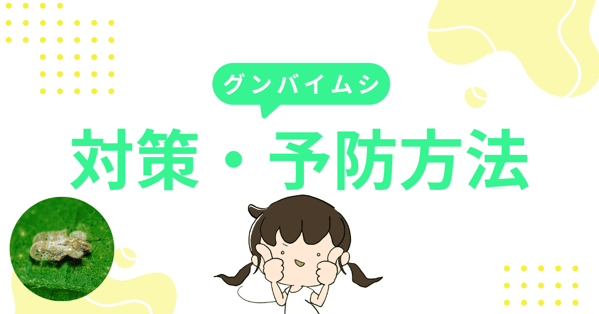 「グンバイムシ」対策・予防方法