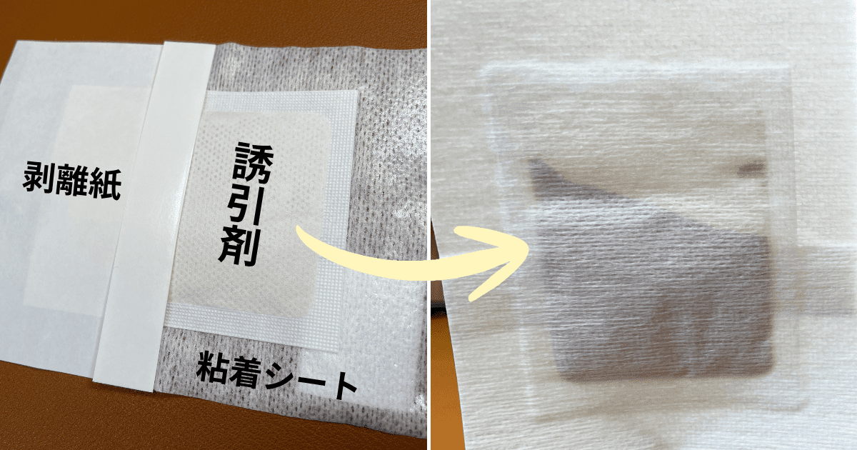 ダニ捕りラボ(乾燥タイプ)の使用感をレビュー