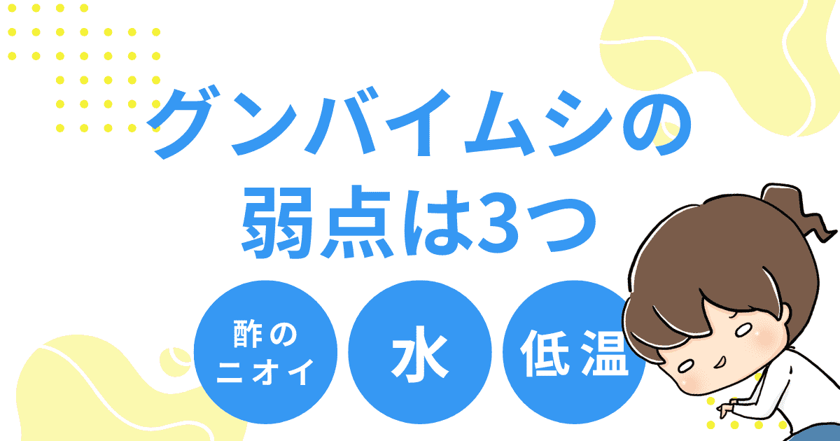「グンバイムシ」の弱点は3つ
