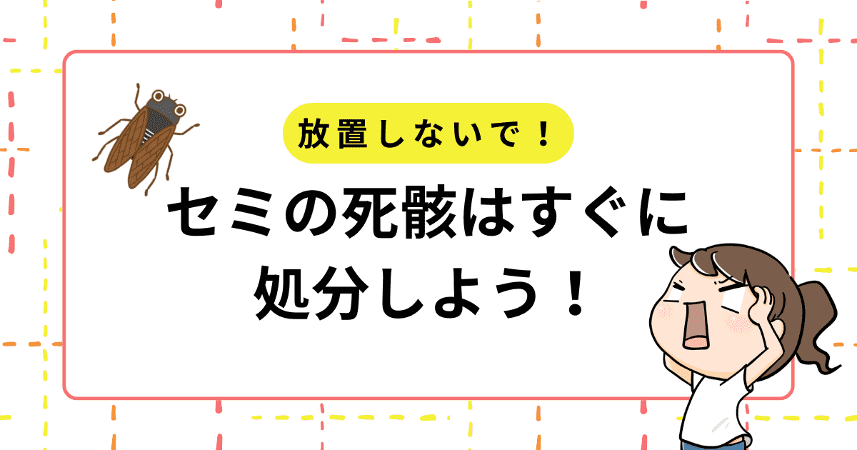 放置しないで!セミの死骸はすぐに処分しよう!