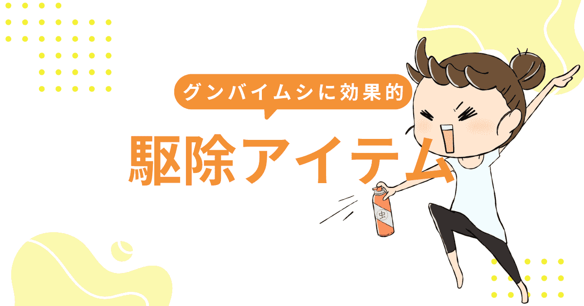 「グンバイムシ」に効果的な駆除アイテム