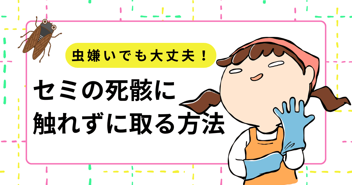 虫嫌いでも大丈夫!セミの死骸に触れずに取る方法