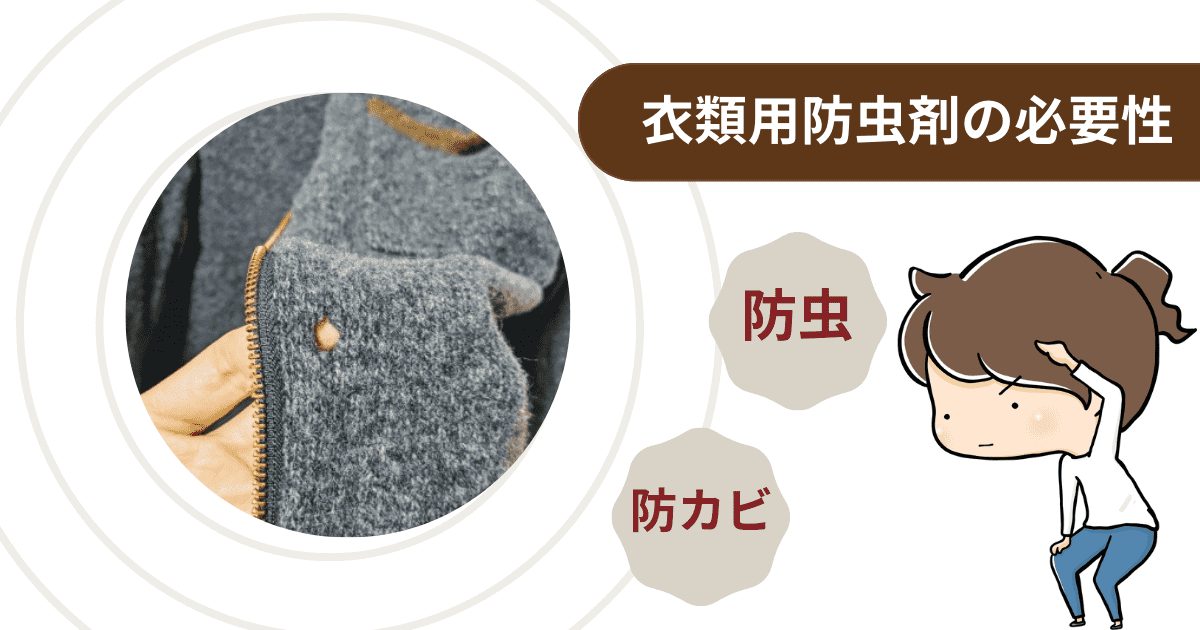 【はじめに】衣類用防虫剤の必要性