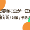 【虫画像あり】秋の洗濯物に虫が…正体は？虫が苦手でもできる捕獲方法や対策・予防方法まとめ