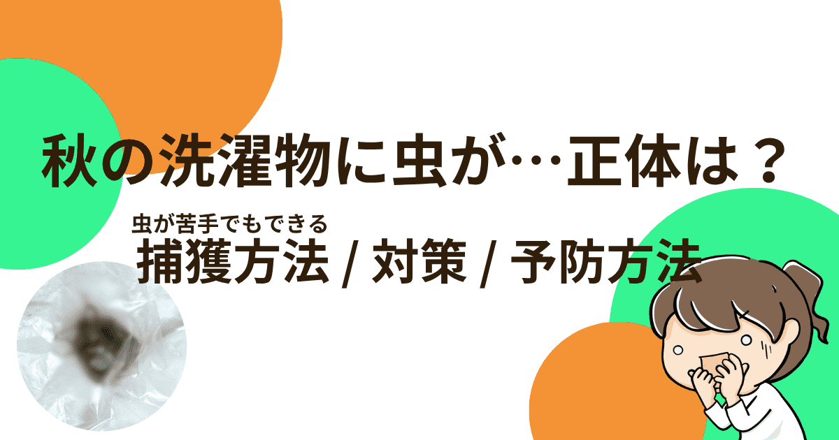 【虫画像あり】秋の洗濯物に虫が…正体は？虫が苦手でもできる捕獲方法や対策・予防方法まとめ
