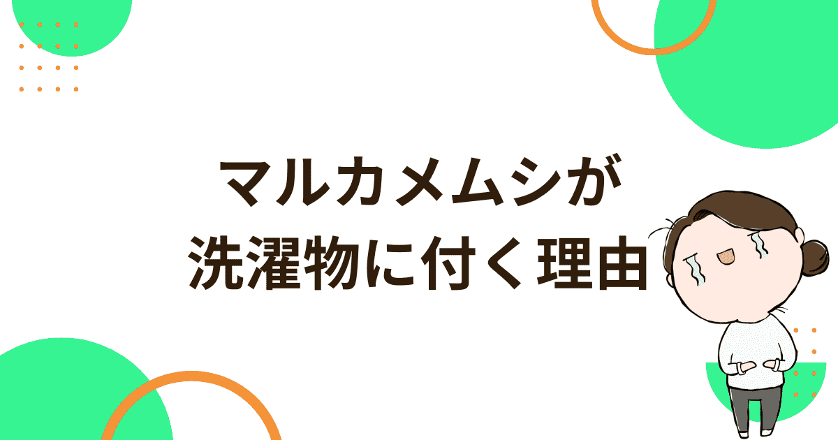「マルカメムシ」が洗濯物に付く理由