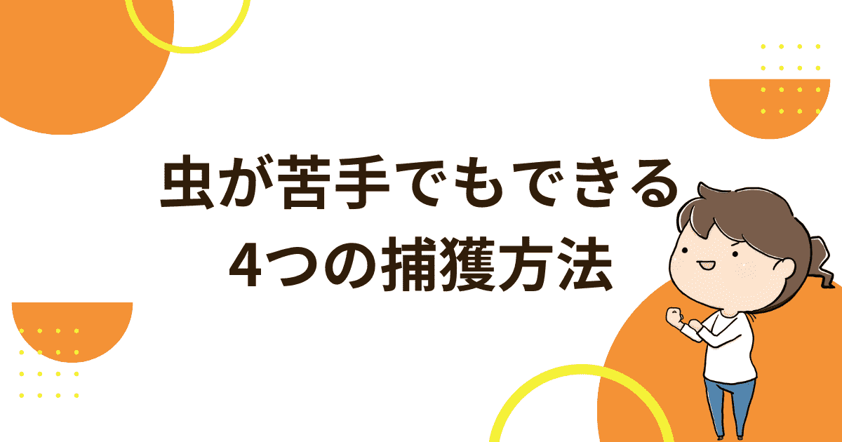虫が苦手でもできる4つの捕獲方法