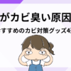 部屋がカビ臭い原因は？今すぐできる対策やおすすめのカビ対策グッズをご紹介