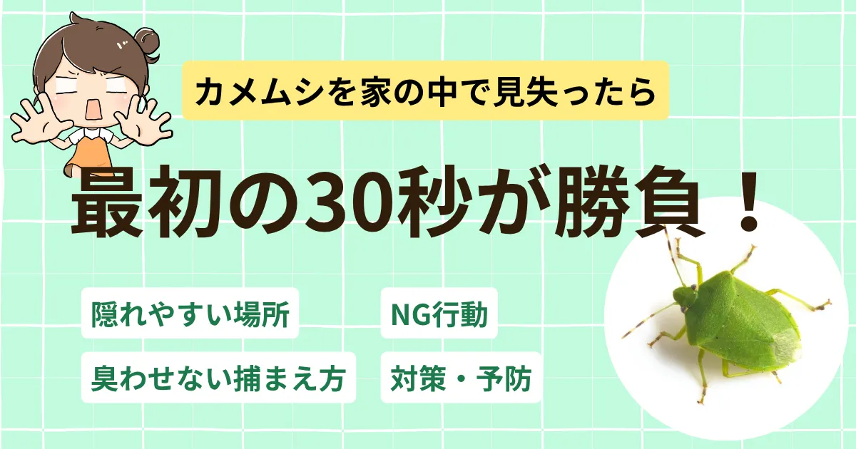 カメムシを家の中で見失ったら最初の30秒が勝負！臭わせない捕まえ方と5つの対策