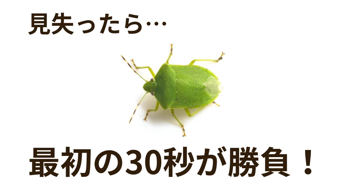 見失ったら最初の30秒が勝負！まずやること3つ