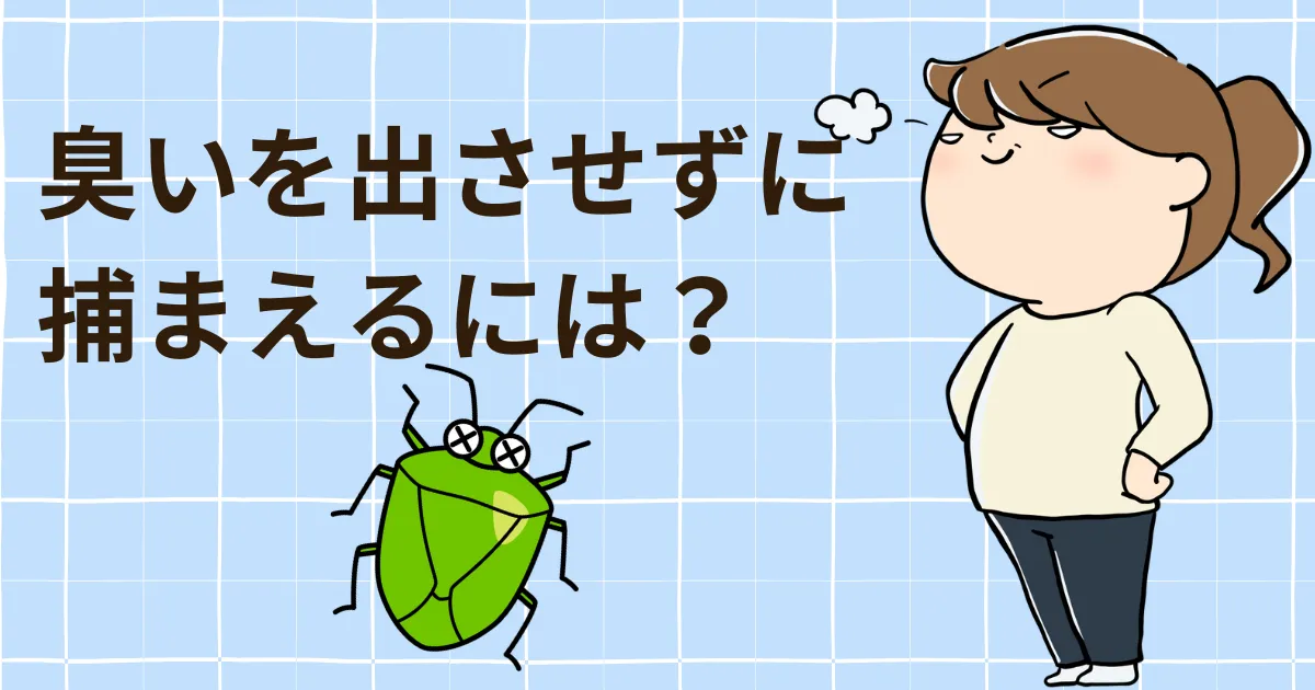 臭いを出させずに捕まえる3つの方法